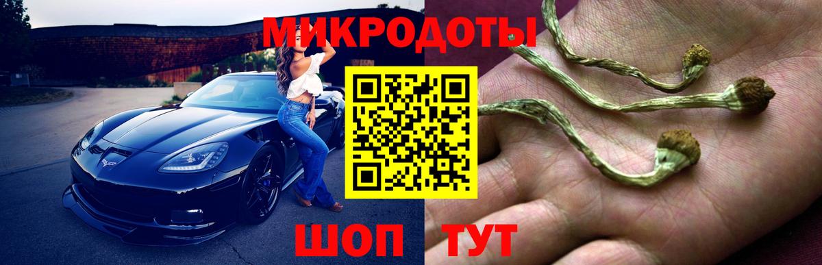 Псилоцибиновые грибы Magic Shrooms Саров